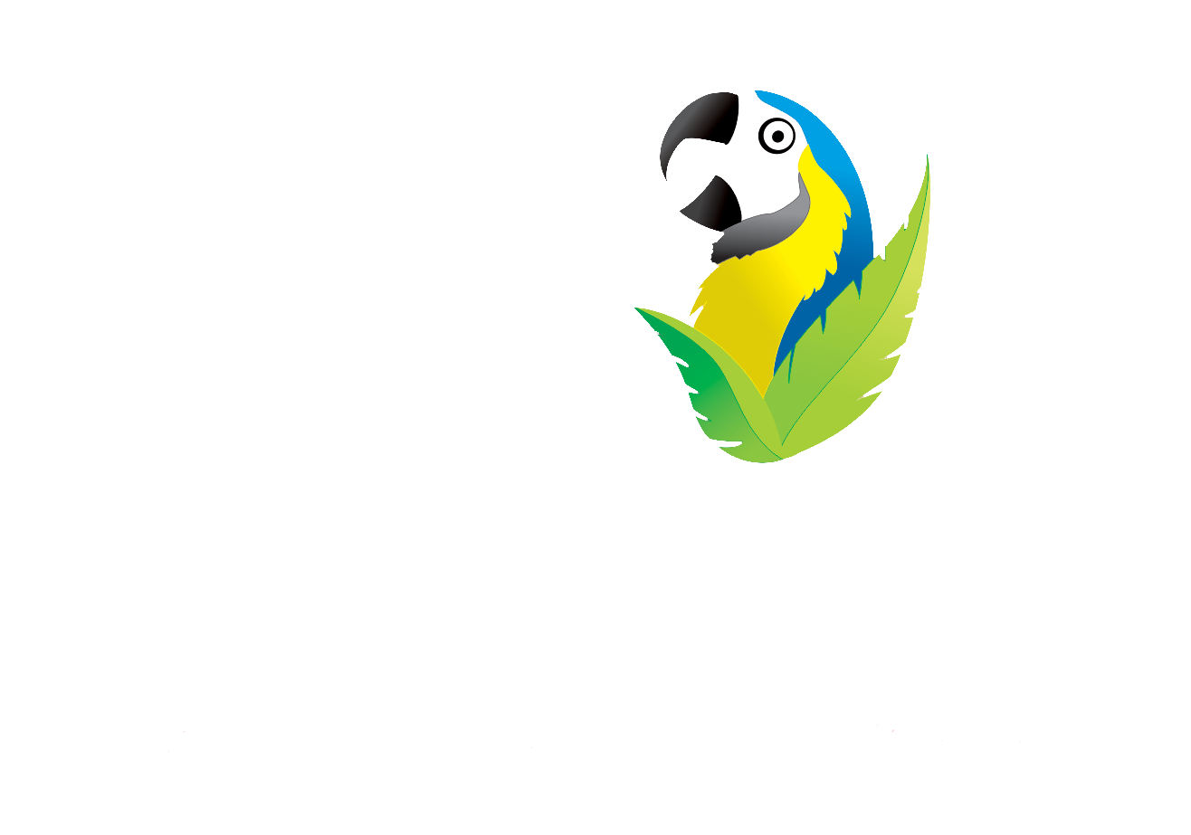 Cursos & Expedições Fotográficas Orientadas